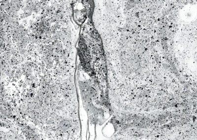 Debbie Lee, Freeze, marbled drawing 58cm x 36cm, 2018